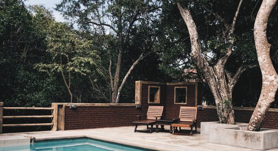 piscine extérieure avec terrasse en béton et transats en bois sous des arbres